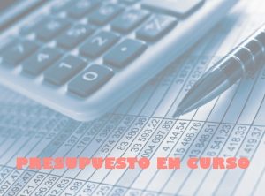 PRESUPUESTO EN CURSO sv